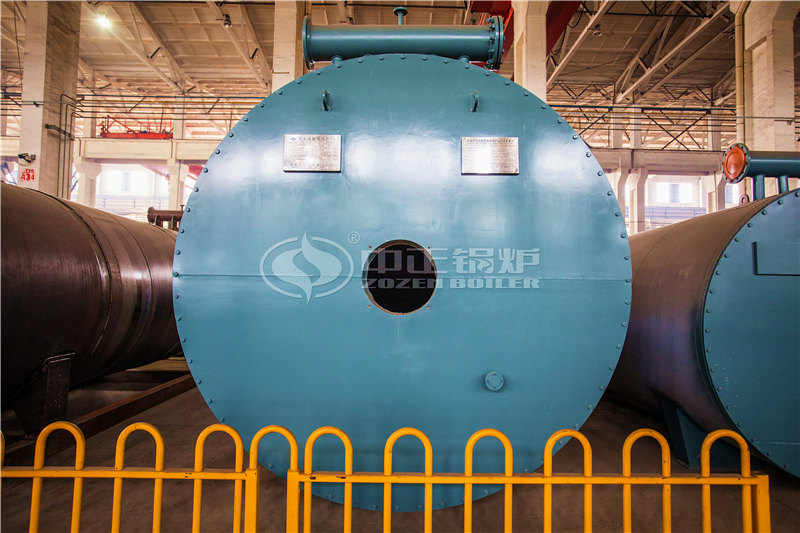 20T燃生物質(zhì)導(dǎo)熱油爐出廠價