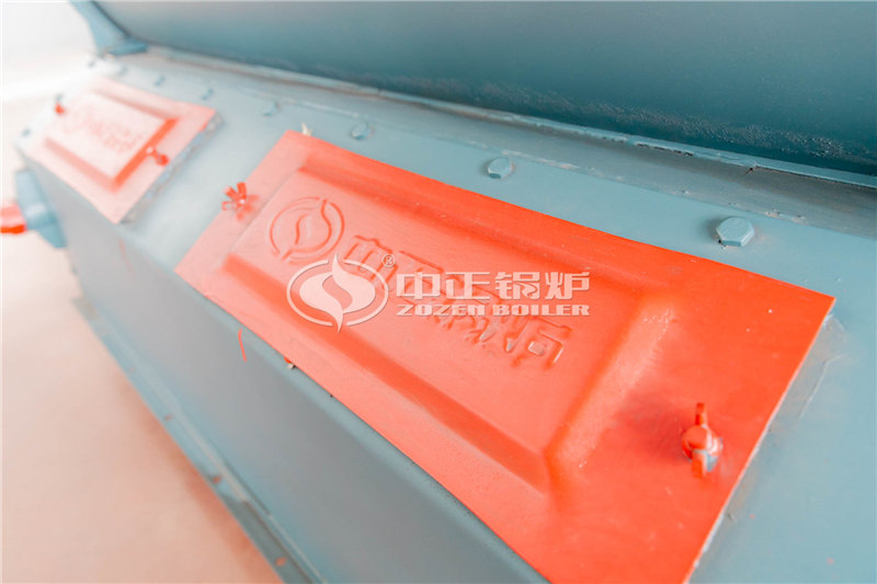 30噸燃生物質(zhì)導熱油鍋爐廠