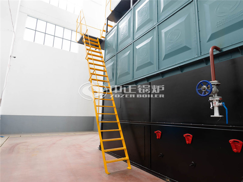 4T燃生物質(zhì)導熱油鍋爐排名