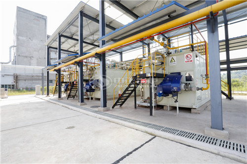 25噸燃生物質(zhì)導熱油鍋爐性價比價位