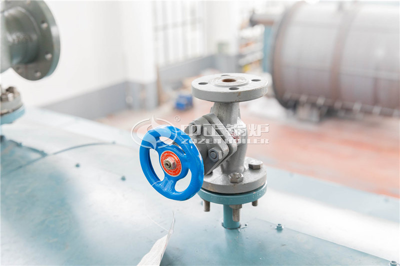 2000萬(wàn)大卡燃?xì)鈱?dǎo)熱油爐多少錢(qián)一臺(tái)